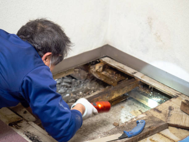 Best Mold Testing  in Henderson, NV