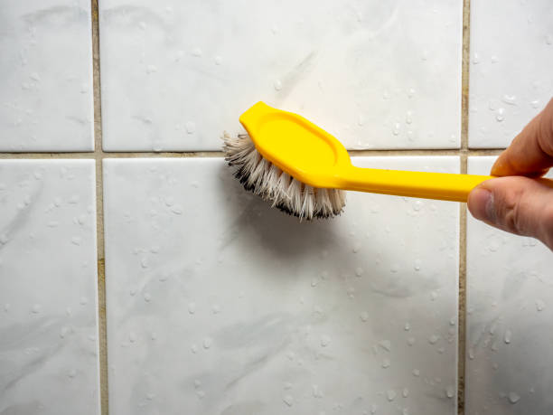 Henderson, NV Mold Removal Company