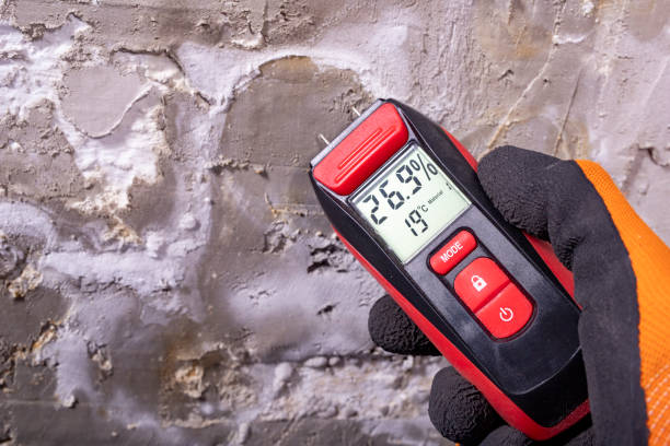 Best Mold Cleaning Services  in Henderson, NV