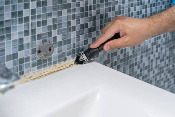 Best Commercial Mold Removal  in Henderson, NV