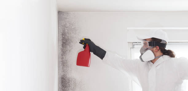 Best Mold Testing  in Henderson, NV