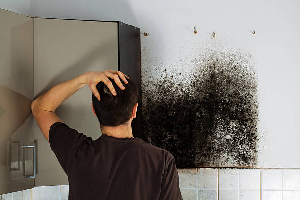 Best Certified Mold Removal  in Henderson, NV